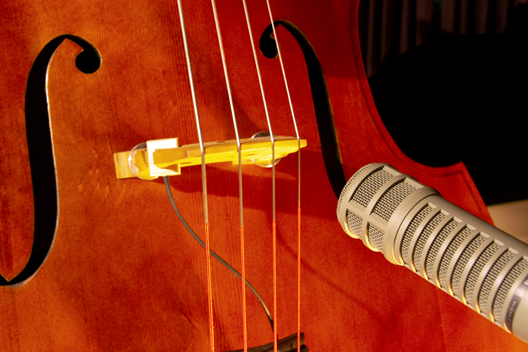 Bass and microphone